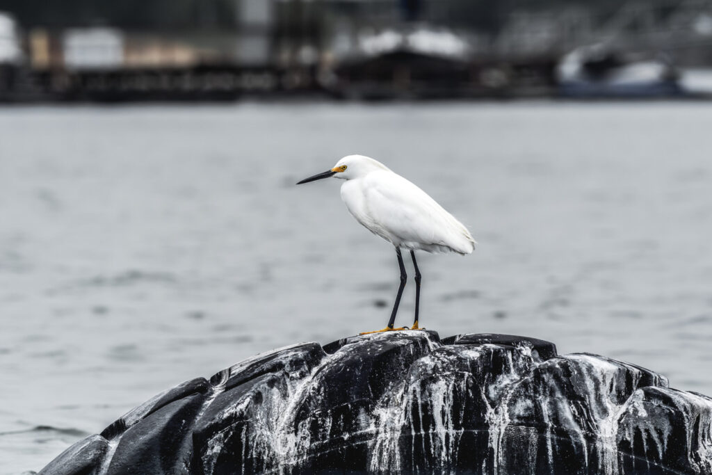 On The Water 41