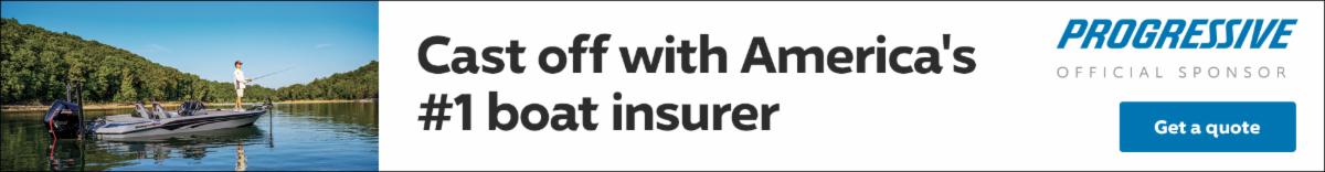 Progressive Skinny Banner