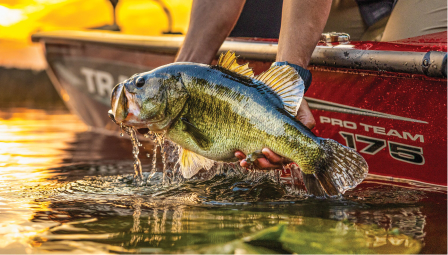 2026 TXTT Championship