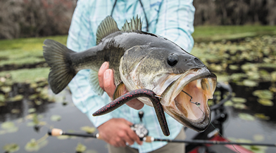 2026 TXTT Lake Texoma